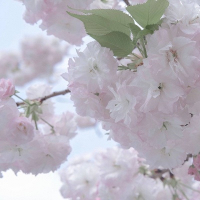 长沙FurryQQ群介绍